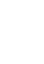 Uzbekistan PFL