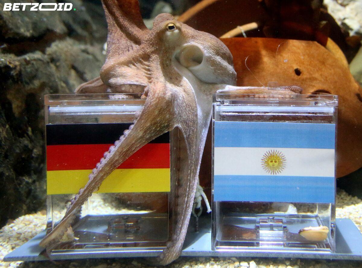 Paul the Octopus, the 2026 World Cup, and Why Prediction Is Still Football's Greatest Obsession.