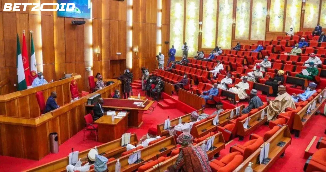 Senate Demands Answers After Nigeria Miss Two World Cups in a Row.