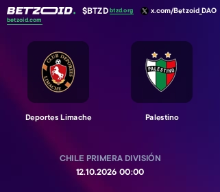 Deportes Limache - Palestino