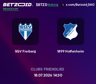 SGV Freiberg - 1899 Hoffenheim