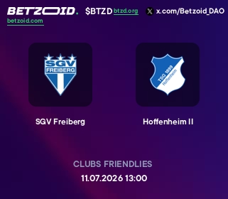 SGV Freiberg - Hoffenheim II