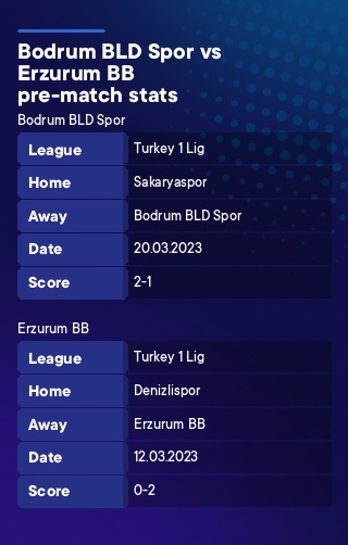 Bodrum BLD Spor - Erzurum BB history