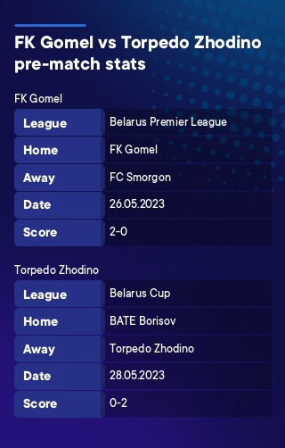 FK Gomel - Torpedo Zhodino history
