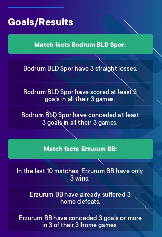 Bodrum BLD Spor - Erzurum BB tips