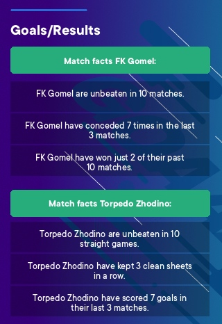FK Gomel - Torpedo Zhodino tips