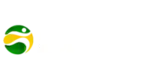 Br4bet.