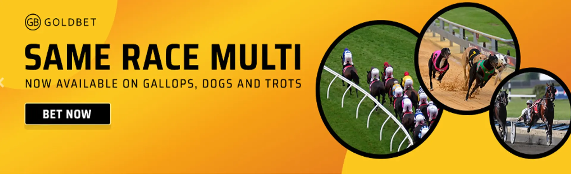 Goldbet sport offers same race multi betting options on gallops, dogs, and trots.