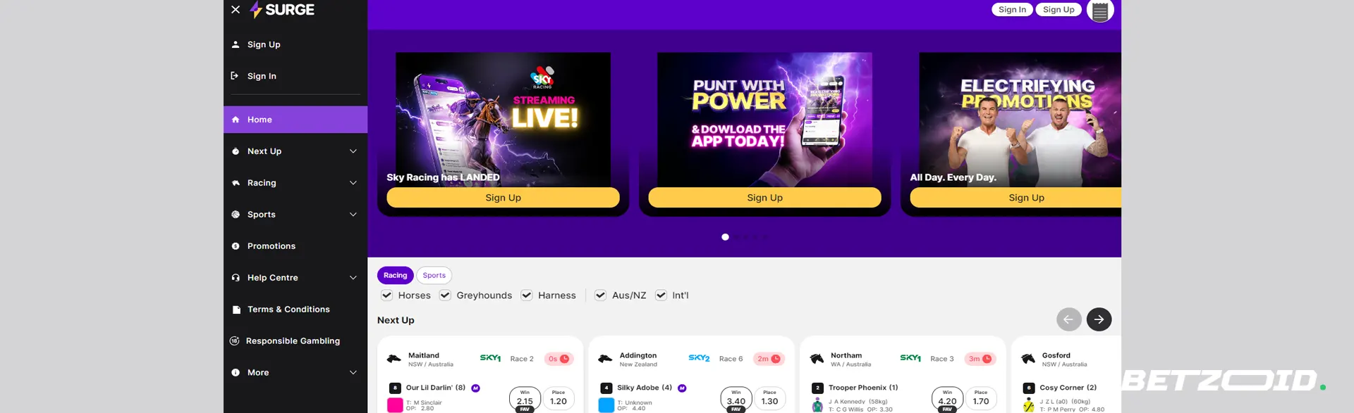Surge betting review covering site interface, promotions, and available betting options.