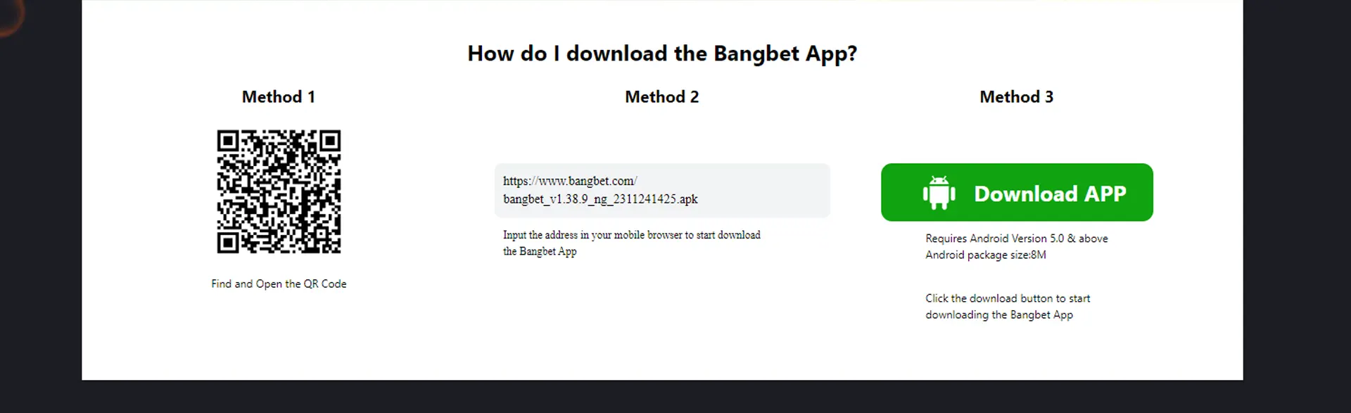 Page with Bangbet App and methods how it downloads.