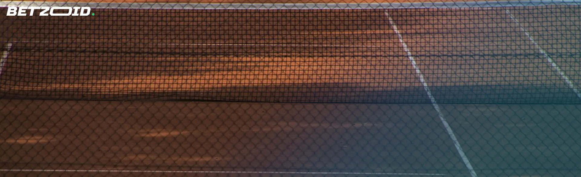 Close-up view of a tennis net, casting a shadow on a clay court.