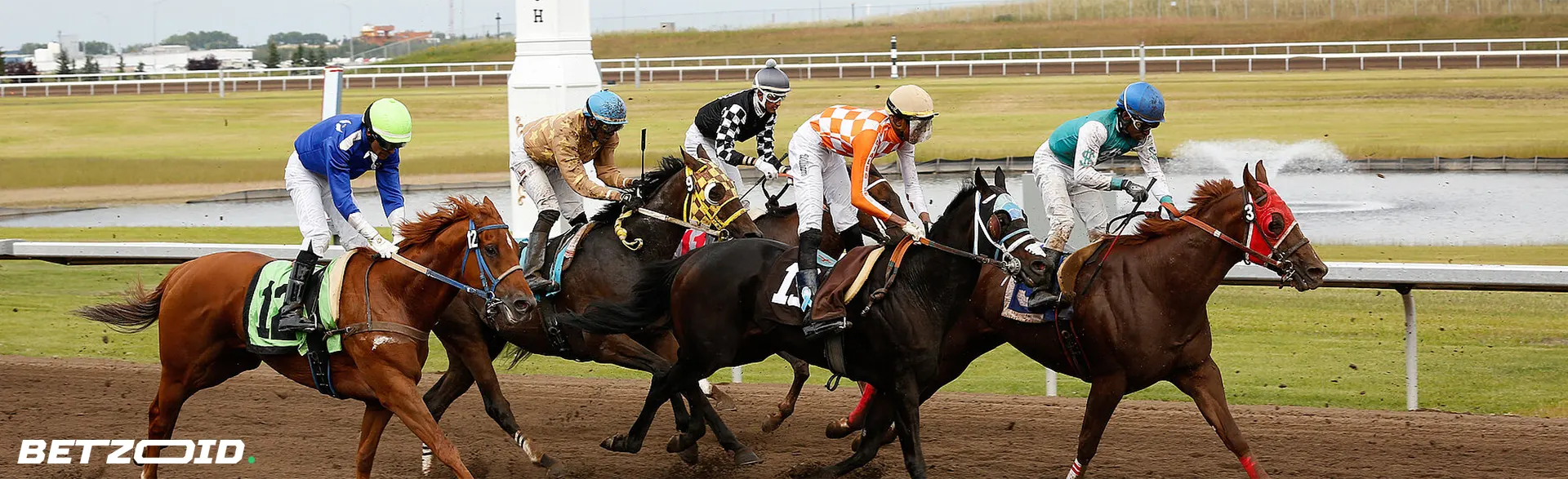 Horse racing event with multiple jockeys and horses in action, representing the competitive and thrilling nature of British Columbia sportsbooks.