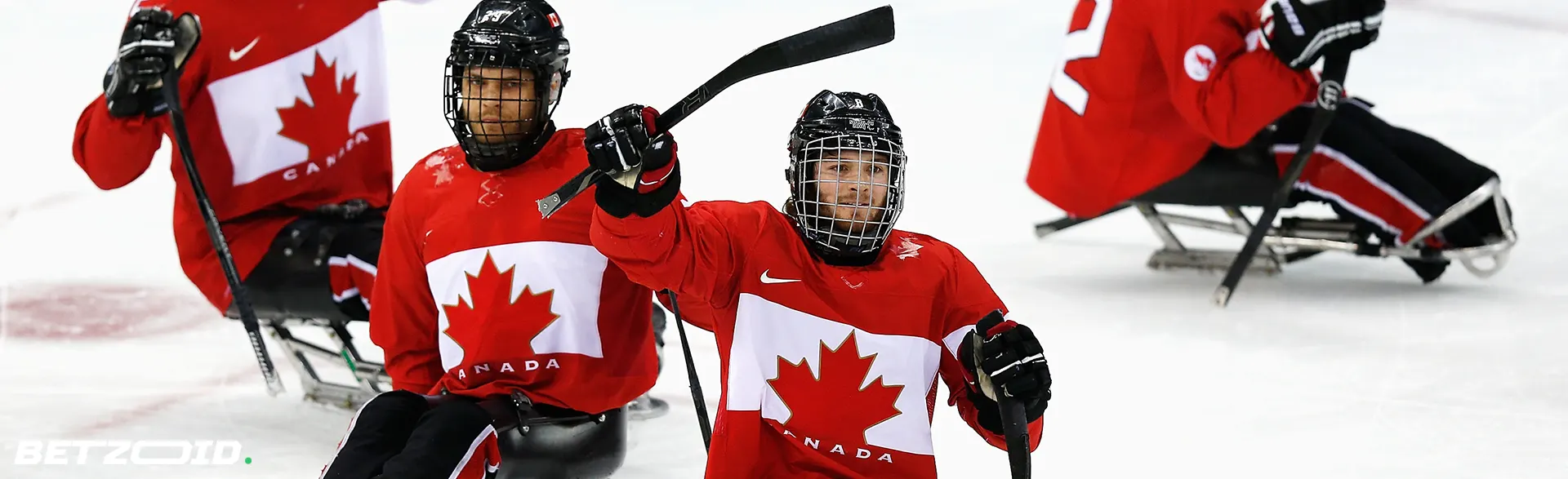 New Brunswick sledge hockey players in action, symbolizing New Brunswick sportsbooks.