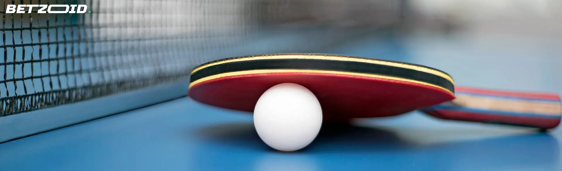 A close-up of a ping pong paddle and ball on a table, representing Ontario betting sites.