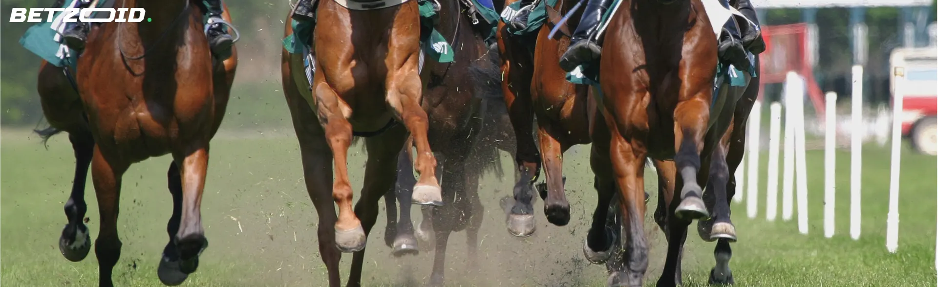 Close-up of horse hooves during a race, illustrating the excitement and action available on betting sites with minimum deposit 10 dollars for Canadian players.