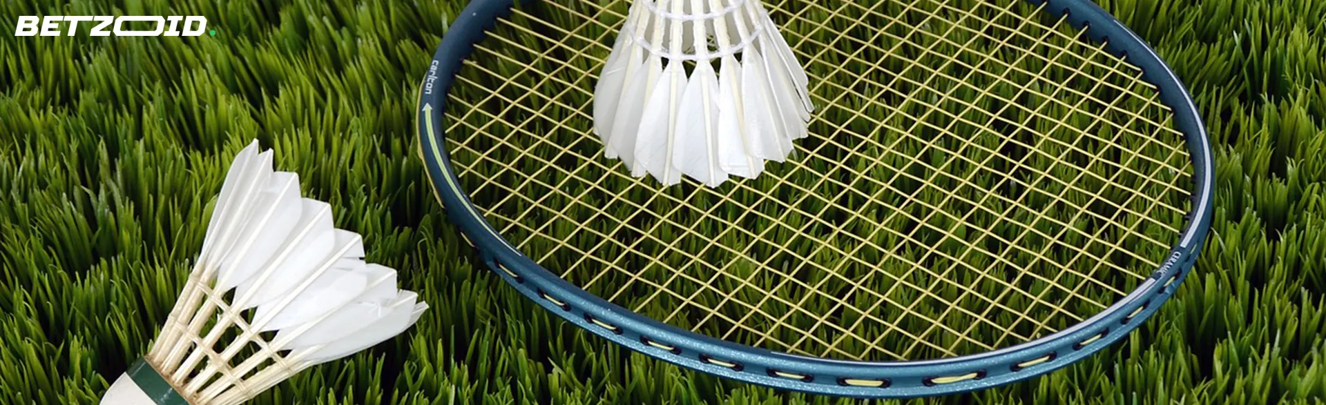 Badminton racket and shuttlecock on a grassy surface.