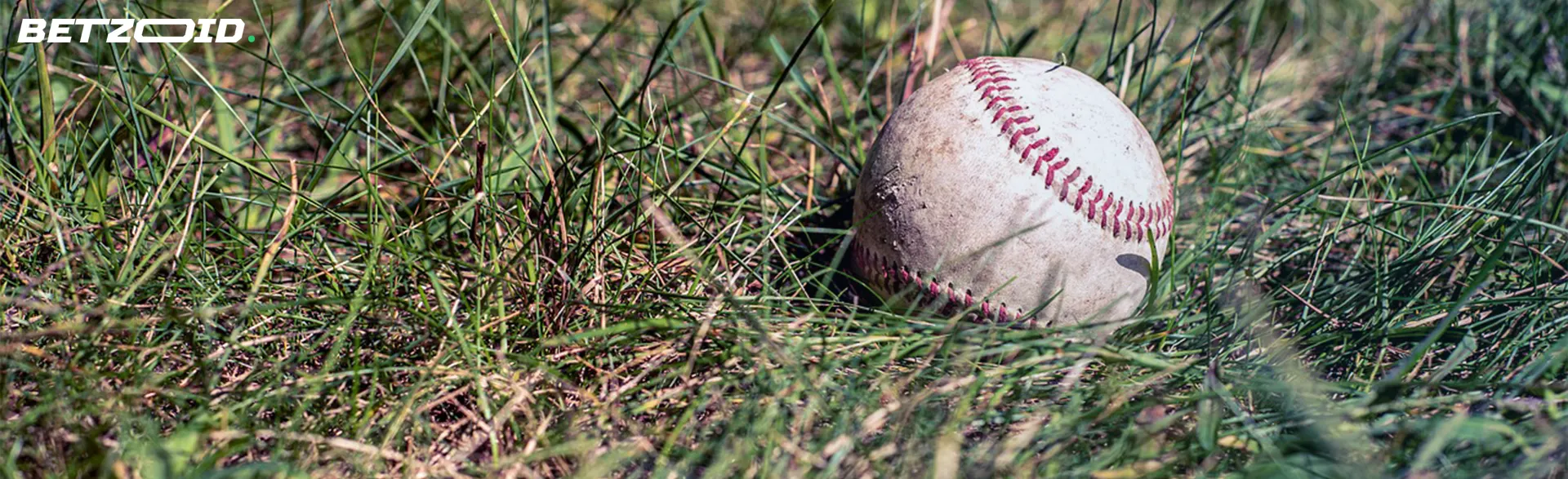 Baseball lies in the grass, subtly blending into the natural environment.