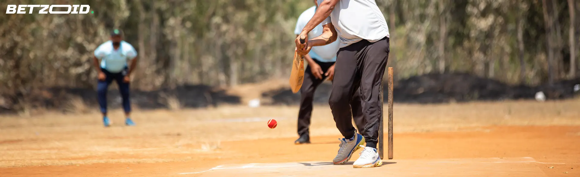 A cricket match in action with the bowler releasing the ball, highlighting cash-out options at Canadian bookies.