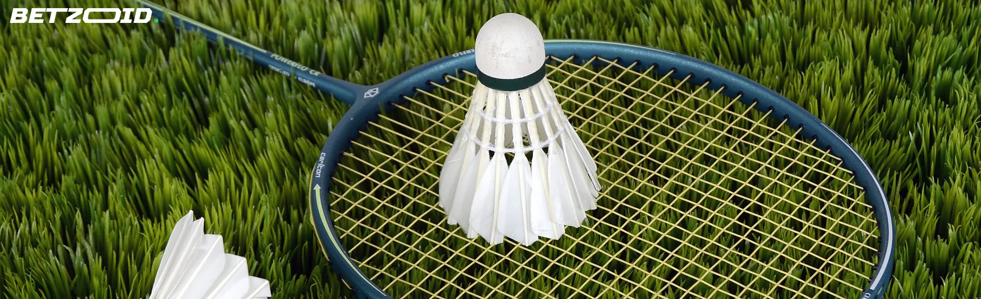 Badminton racket and shuttlecock on artificial grass, representing the variety of sports available for betting on websites in Canada.