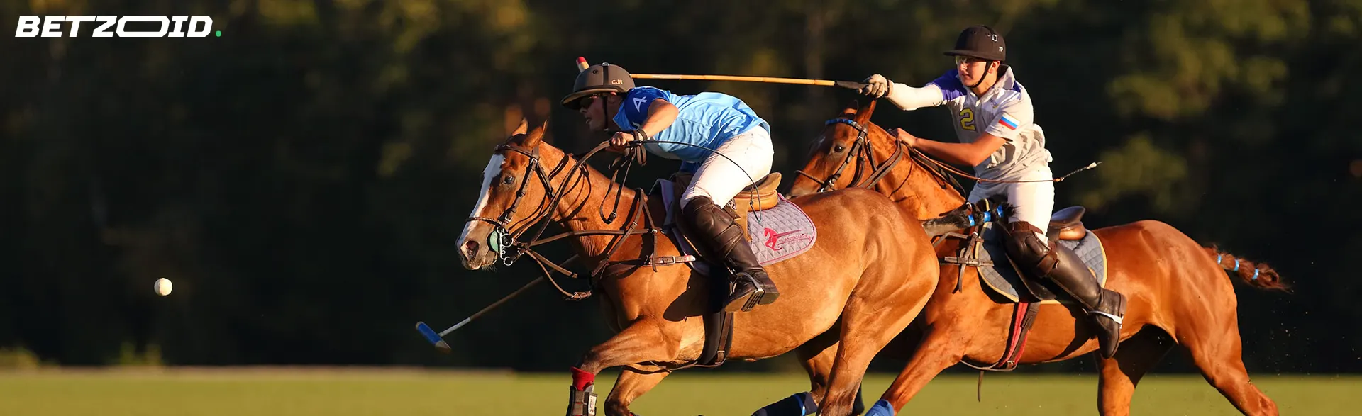 Polo players compete on horses for the ball.
