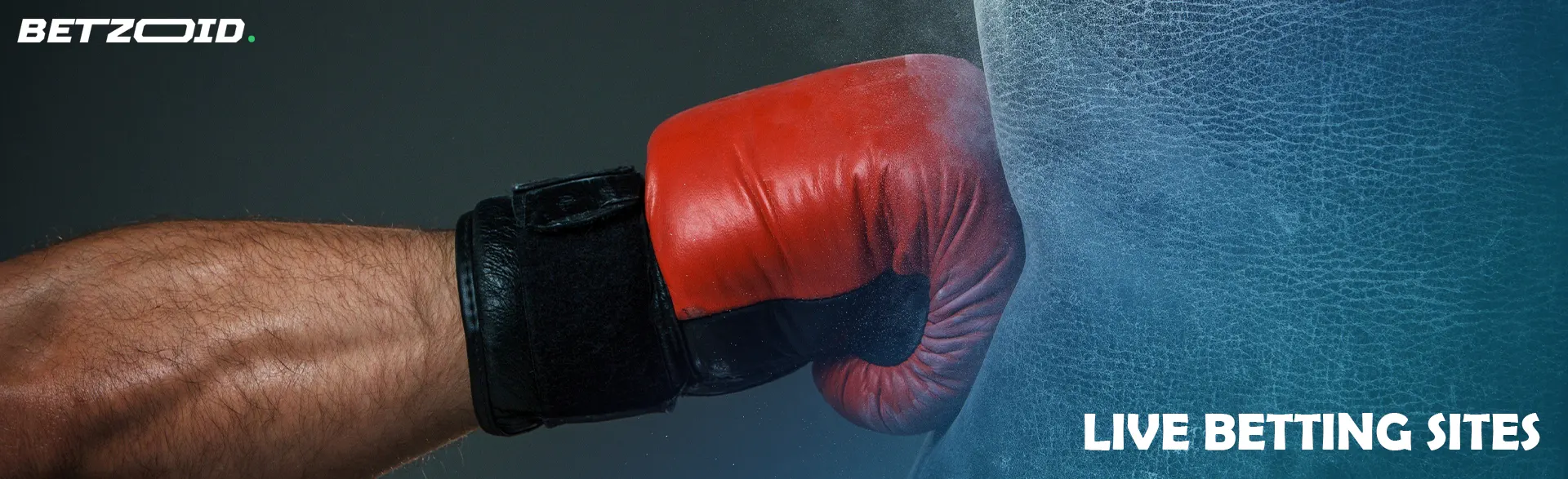 A boxer'