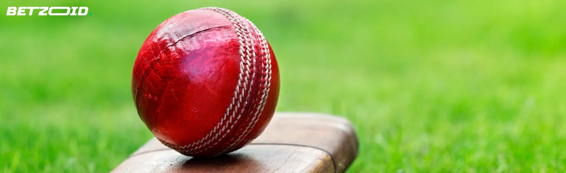 Red cricket ball on the bat.