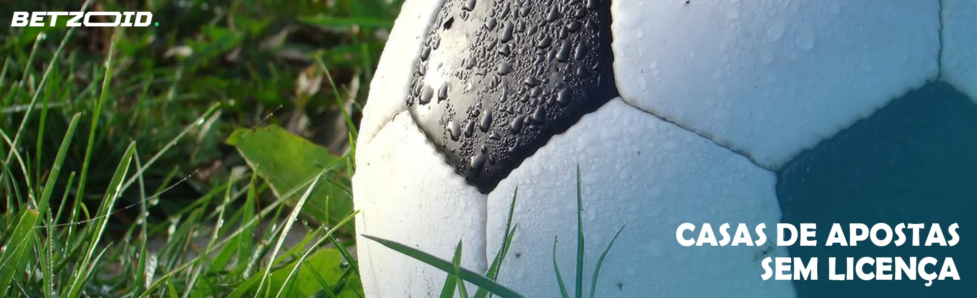 Bola de futebol na grama.
