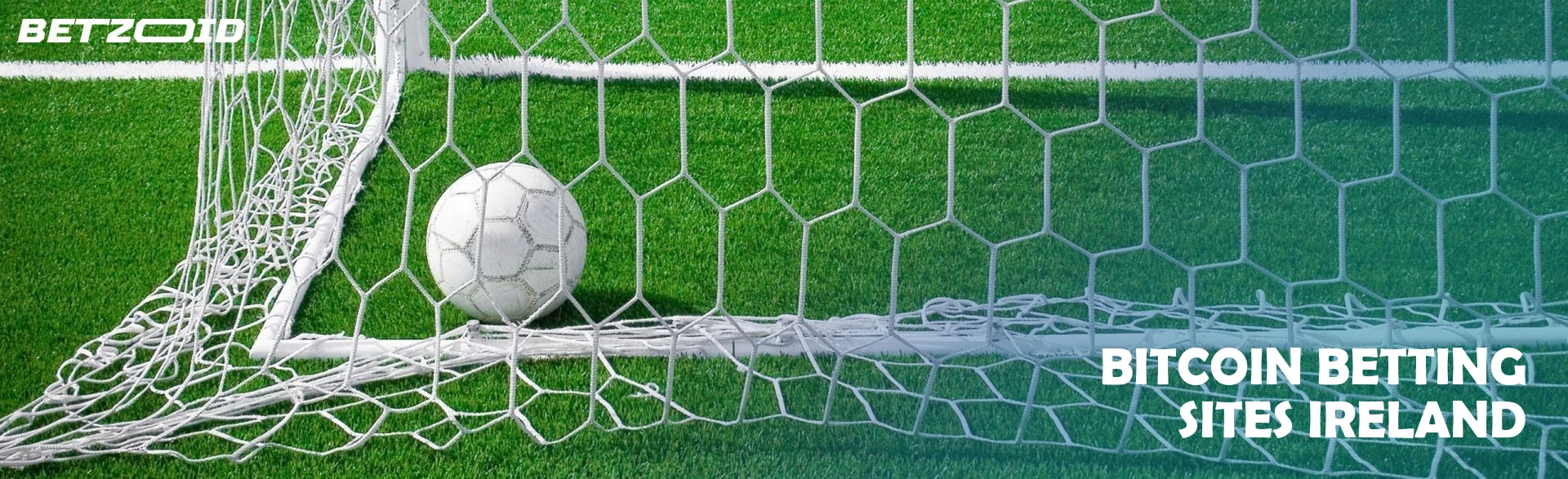 Bitcoin betting sites ireland.