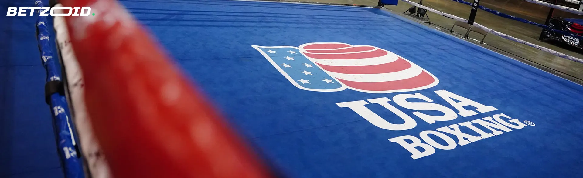 Empty boxing ring.