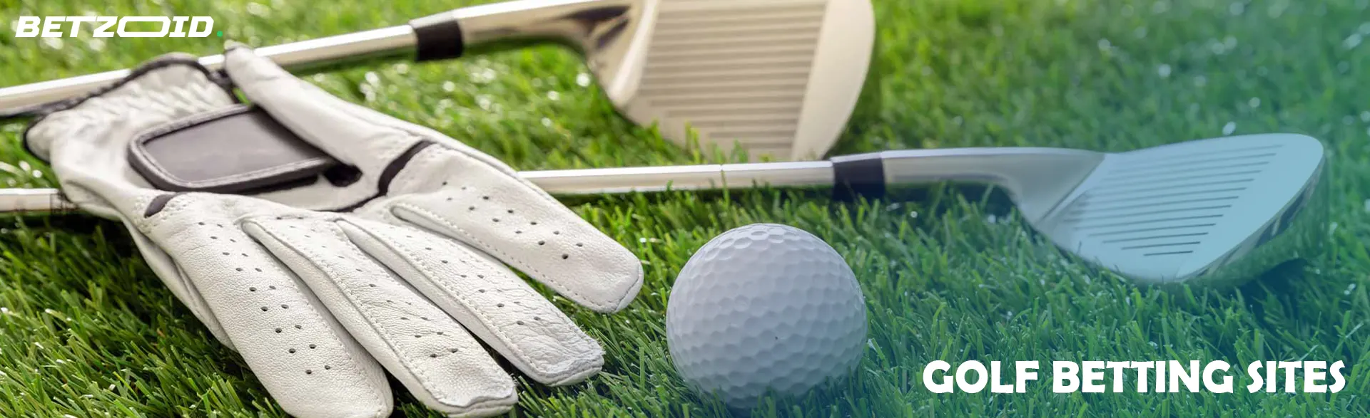 Golf clubs glove and ball.