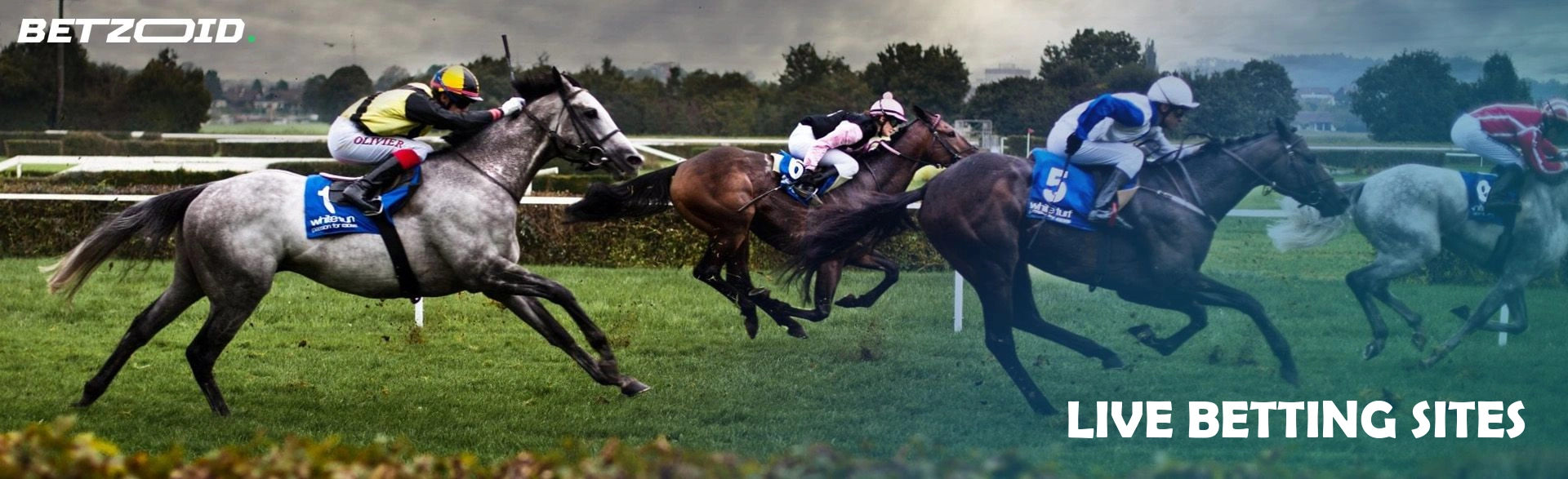 Live Betting Sites.