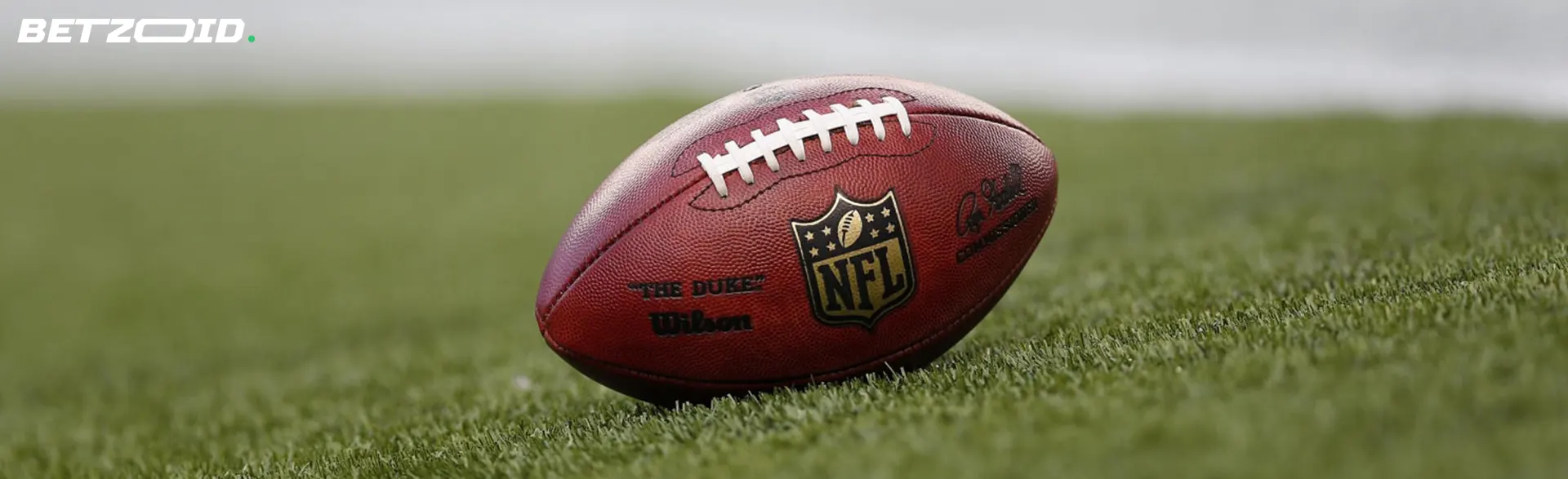 The nfl ball lies on the grass.