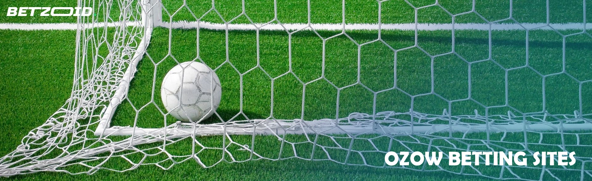 Ozow betting sites.