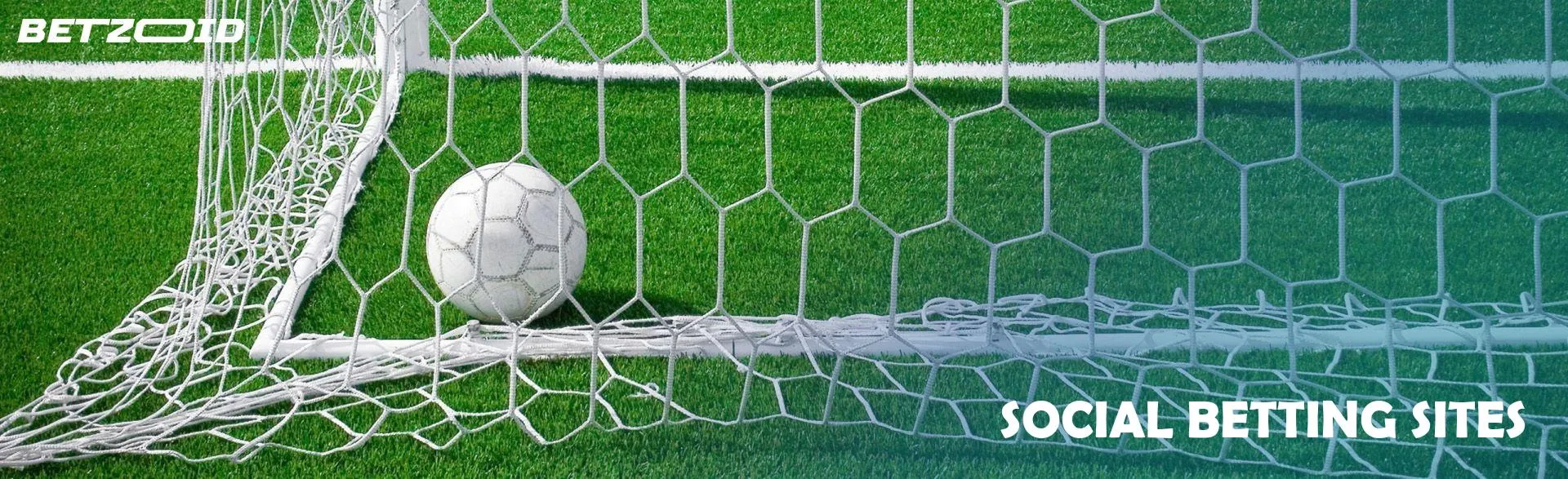 The soccer ball lies in the goal.