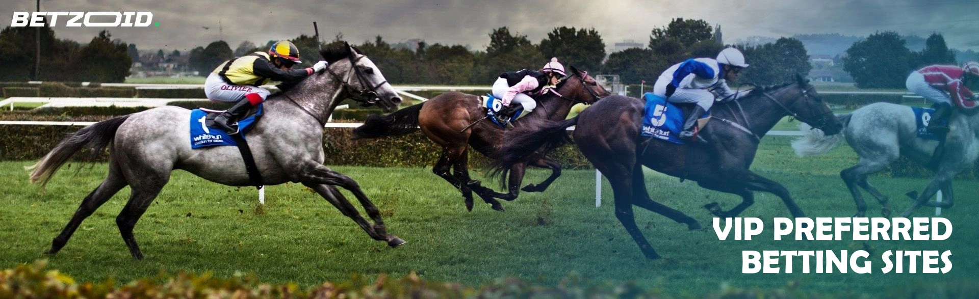 Vip preferred betting sites.