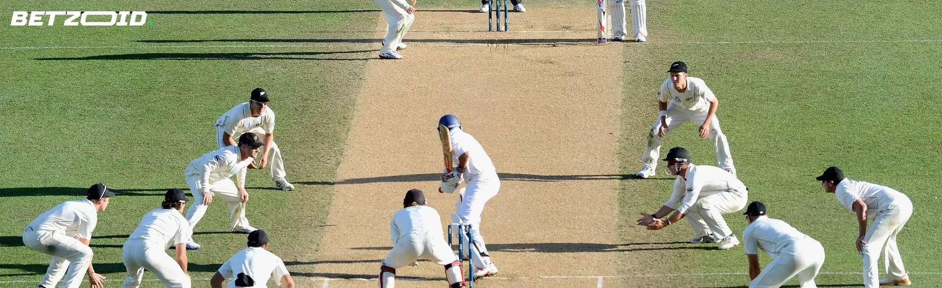 Cricketers on the field during a match.