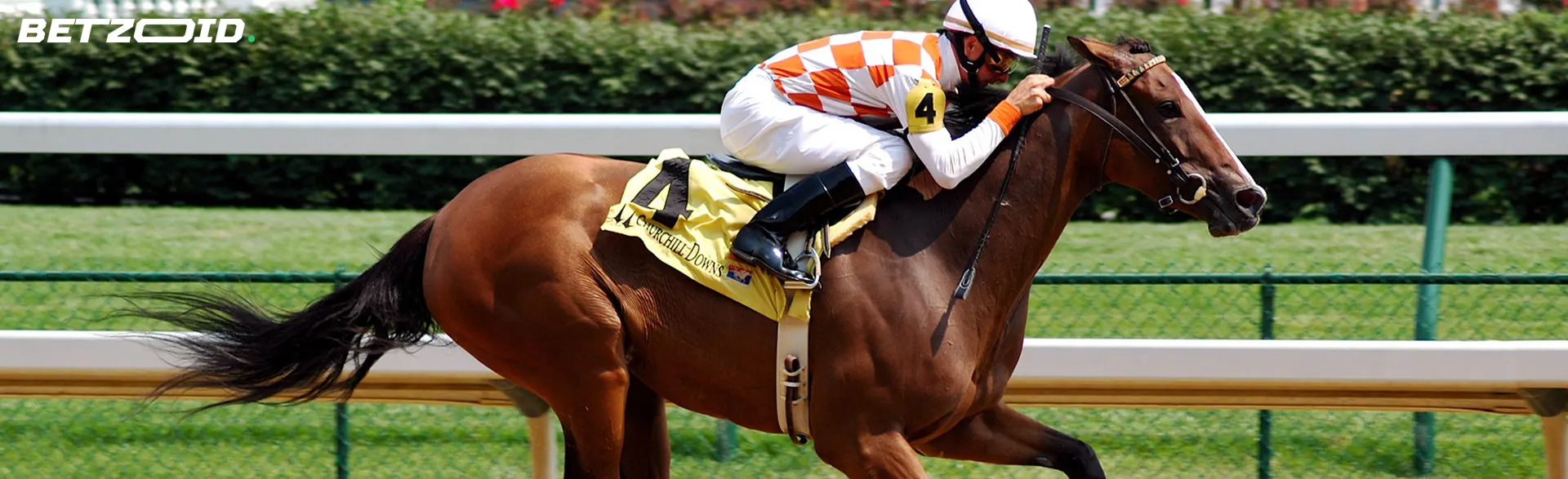 Jinete sobre un caballo durante una carrera.