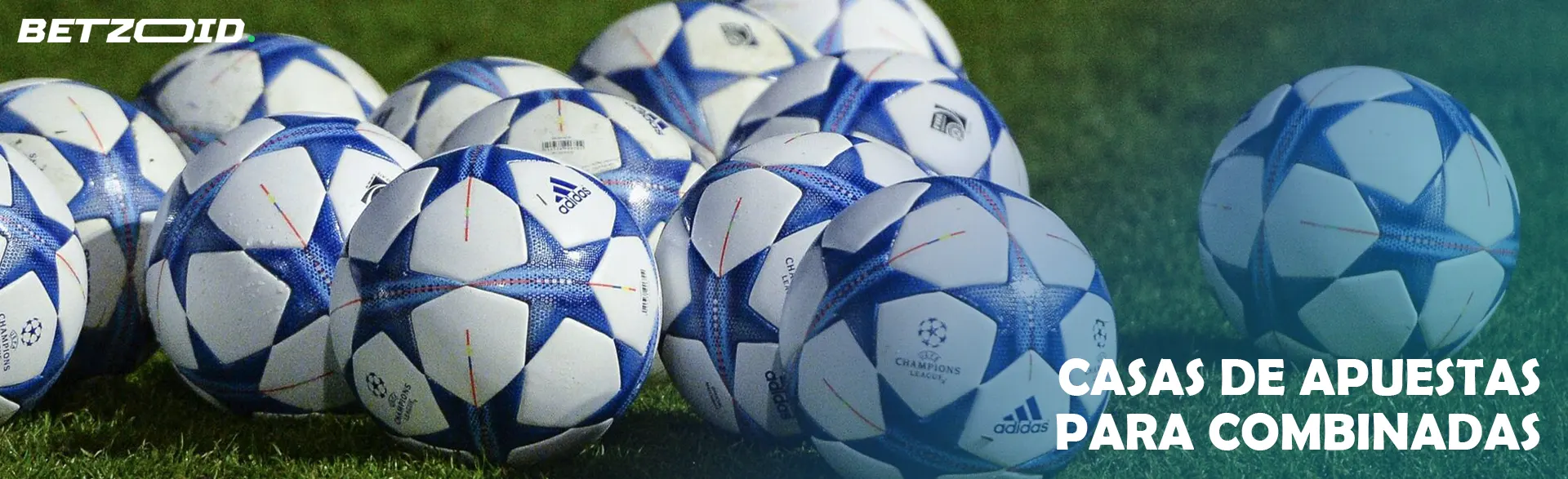 Los balones de fútbol yacen sobre el césped.