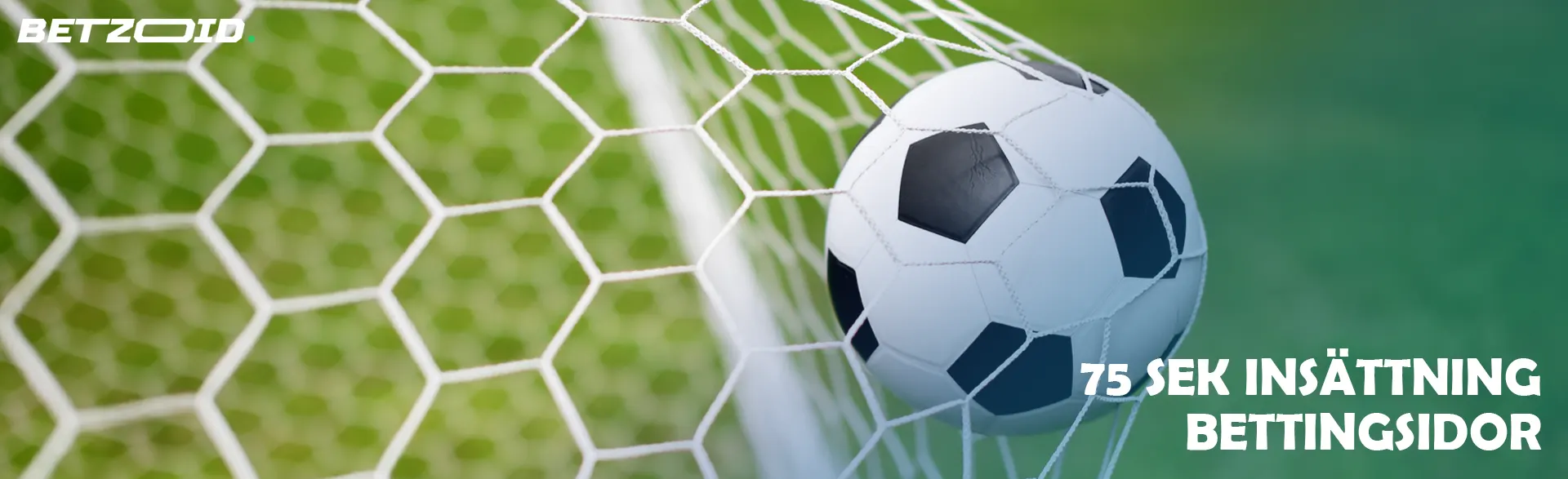 Fotbollen flög in i mål.