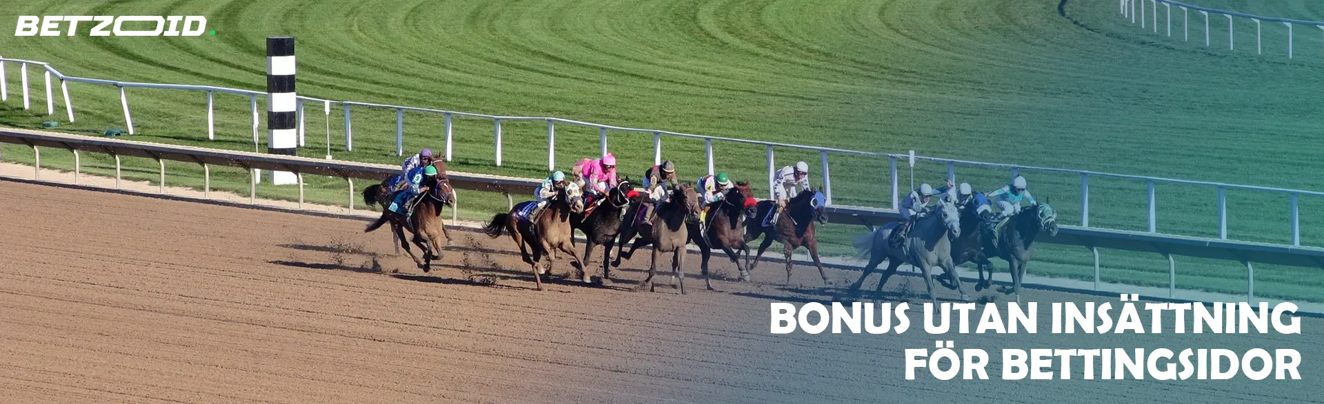 Jockeys på hästar under tävlingar.