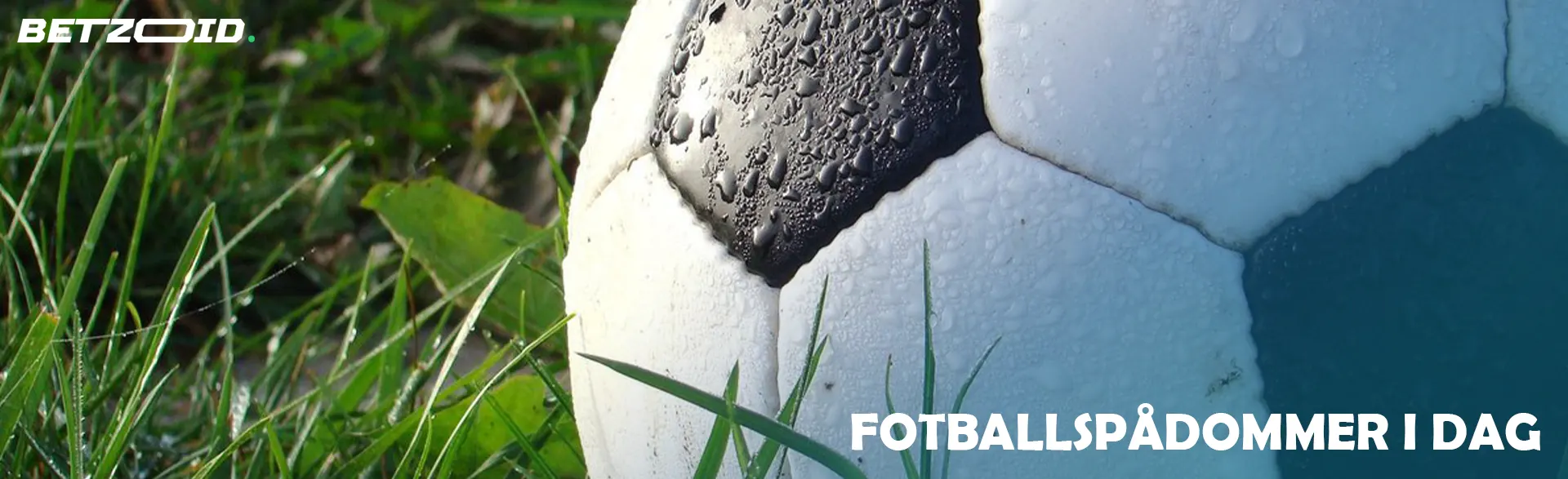 En fotball ligger på gresset.