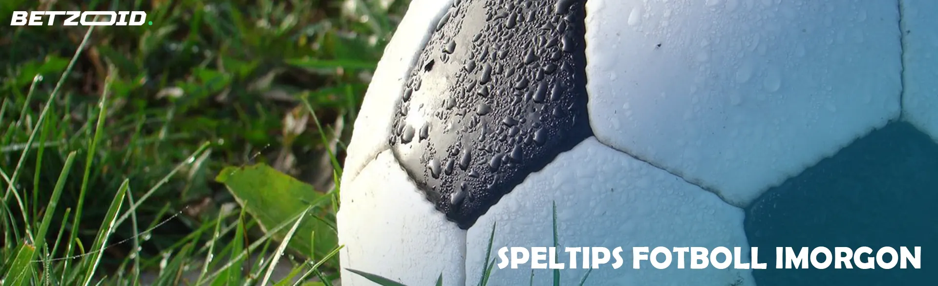 En fotboll ligger på gräset.