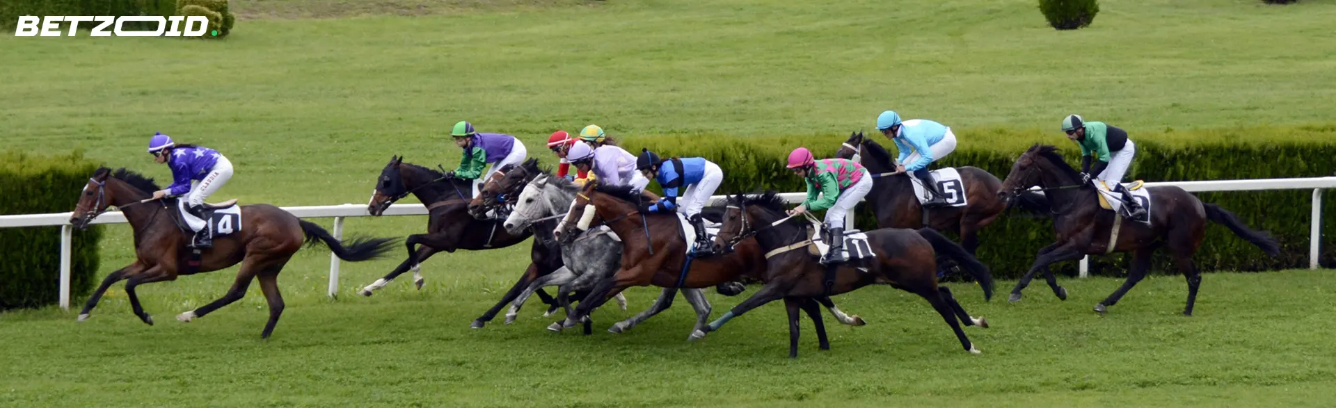 Jockeys på hästar under ett lopp.