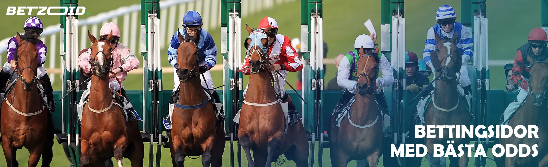 Jockeys på hästar i början av loppet.