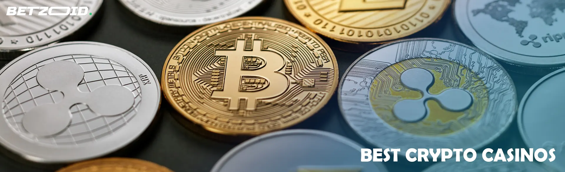 Coins of different cryptocurrencies.