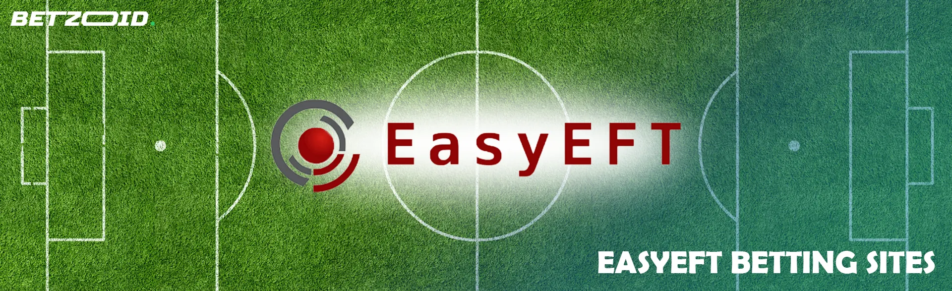 EasyEFT logo on a football field background.