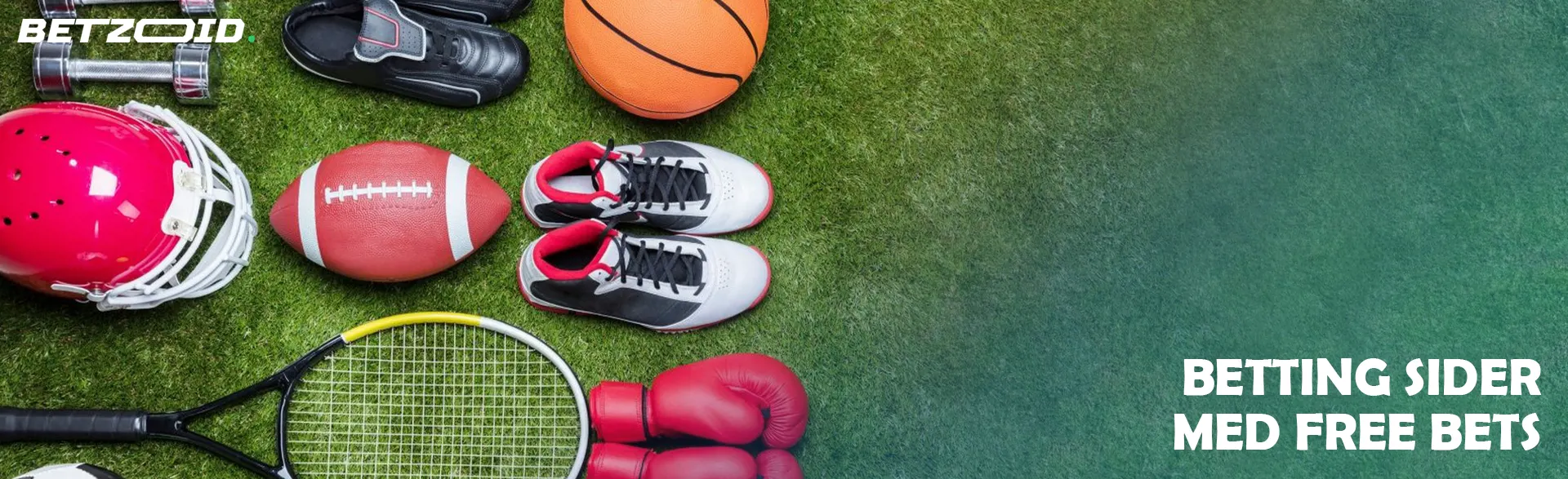 Sportsudstyr ligger på græsplænen.