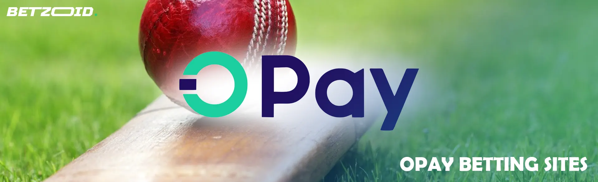 OPay logo on a cricket ball and bat background.