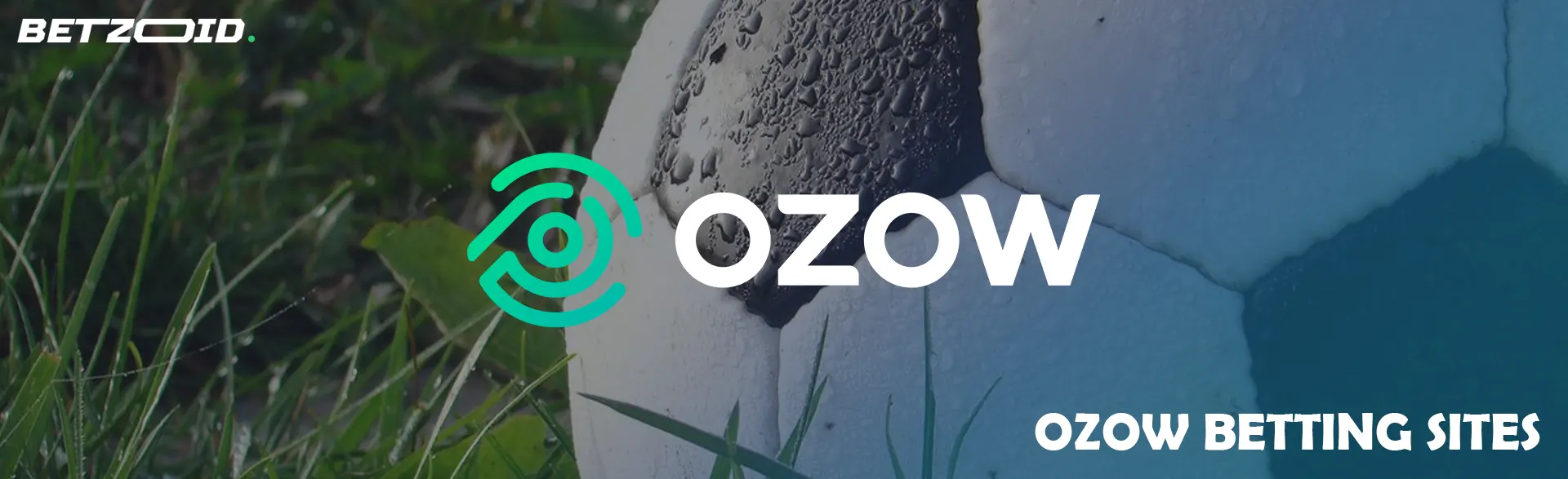 Ozow logo on a soccer ball background.