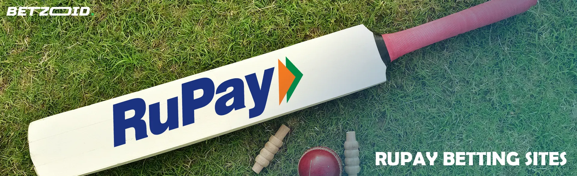 RuPay logo on a cricket bat.